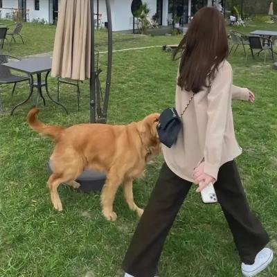 英伦梦田